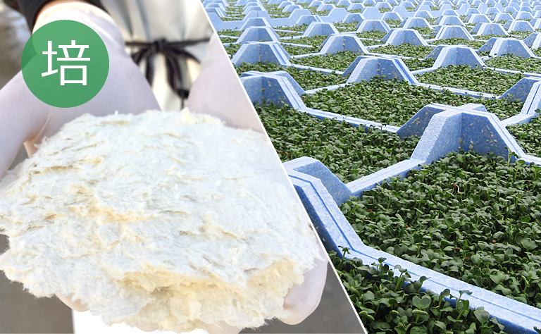 苗床（培地）へのこだわり 