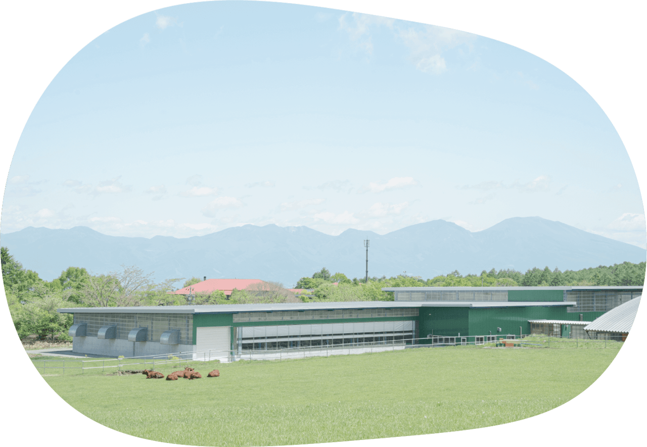 牛が過ごす環境