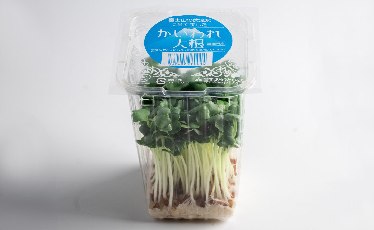 かいわれ大根