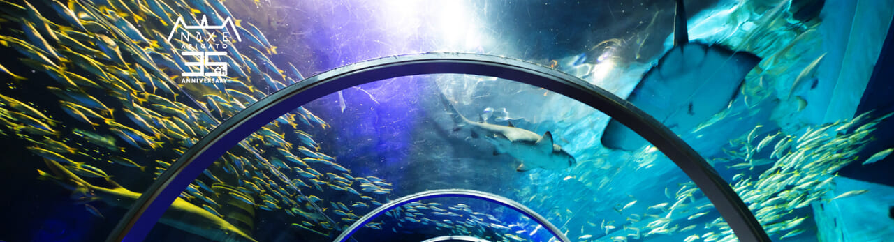 株式会社北海道マリンパークのご紹介