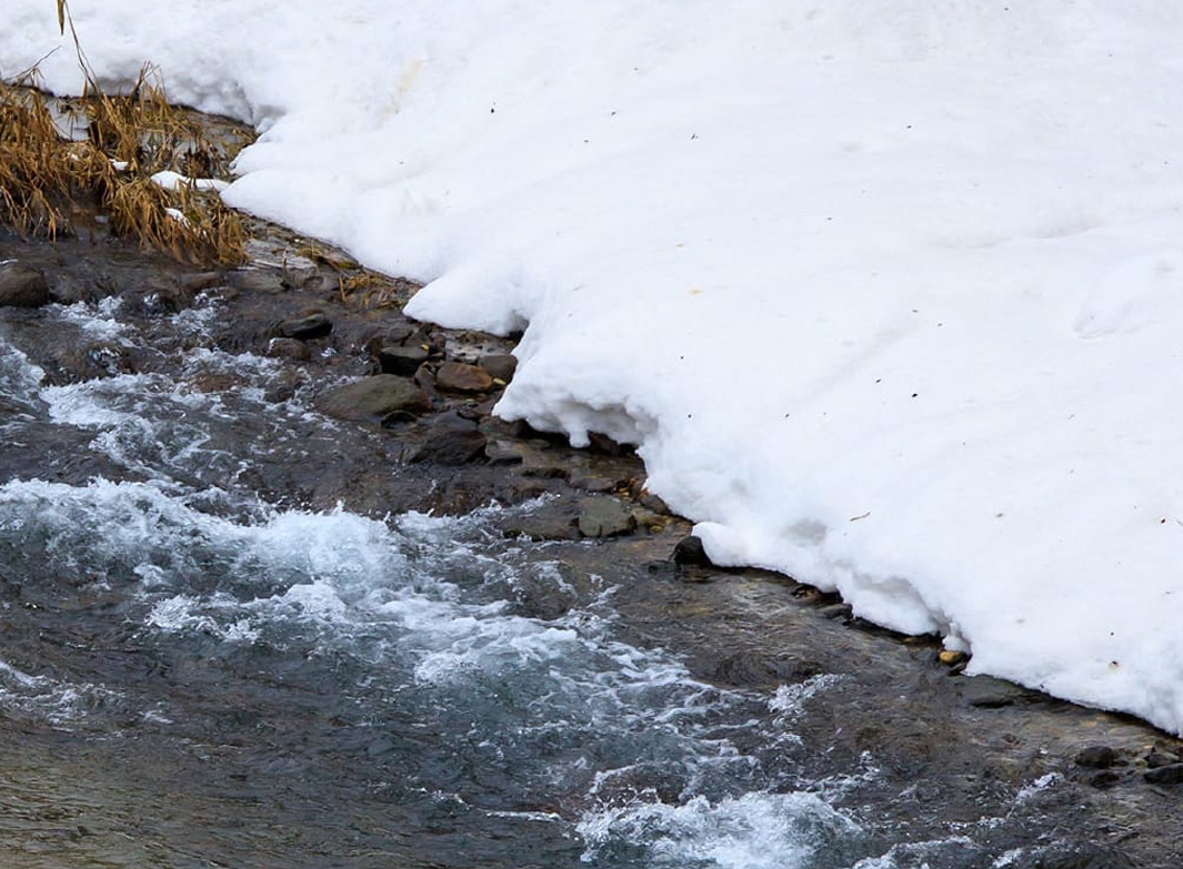 02 厳選された食材