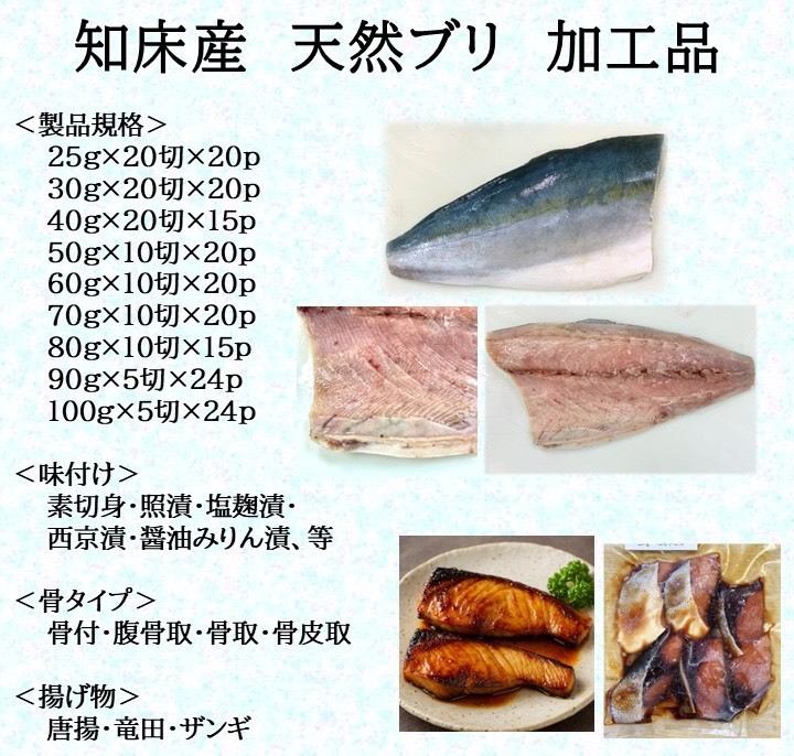 知床産　天然ブリ