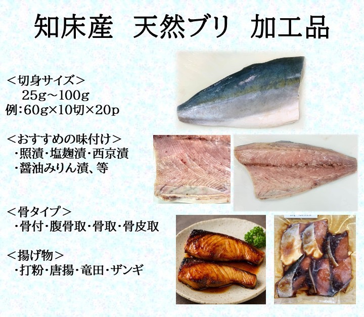 知床・羅臼産　天然ブリ