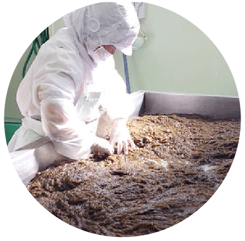 塩抜き不要！すぐに使える「生」タイプ