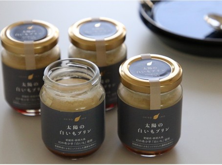 無添加七福芋プリン 【太陽の白いもプリン】 4個入り／化粧箱入り