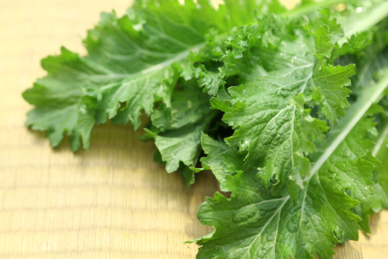 グリーンマスタード