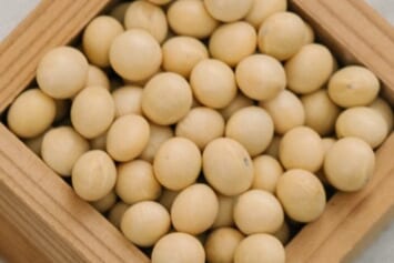 ​国産大豆