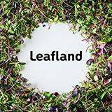 有機野菜の栽培・販売