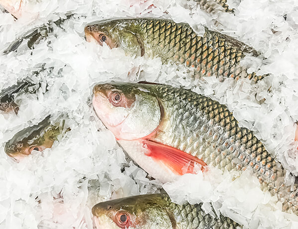 新鮮なおいしさを届ける流通機構