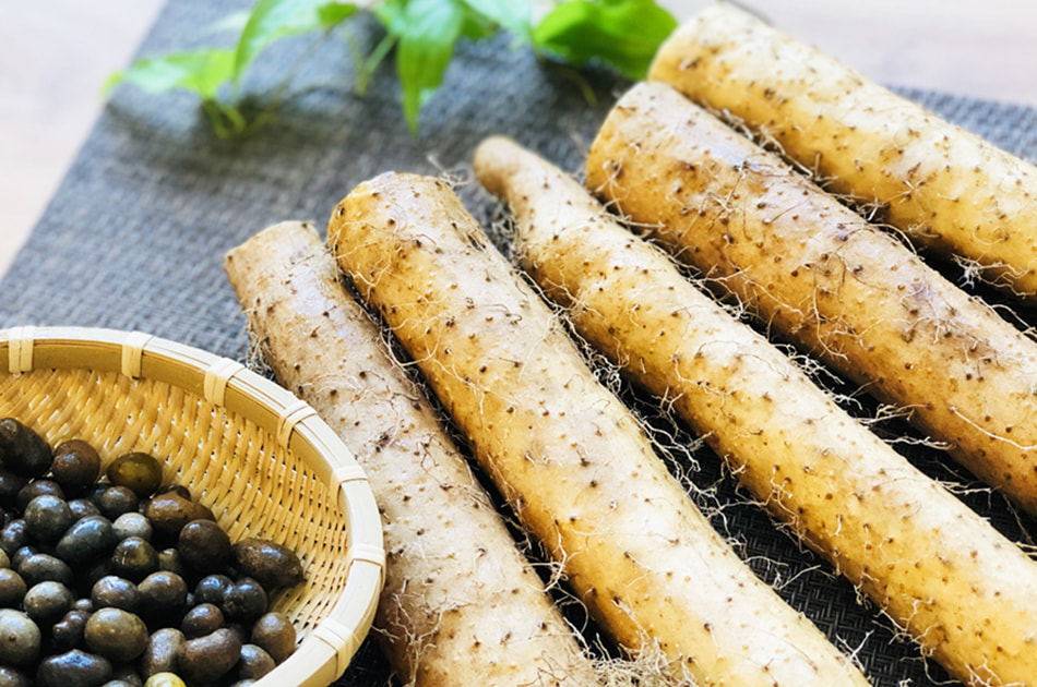 やまいもまつりの日本一の自然生