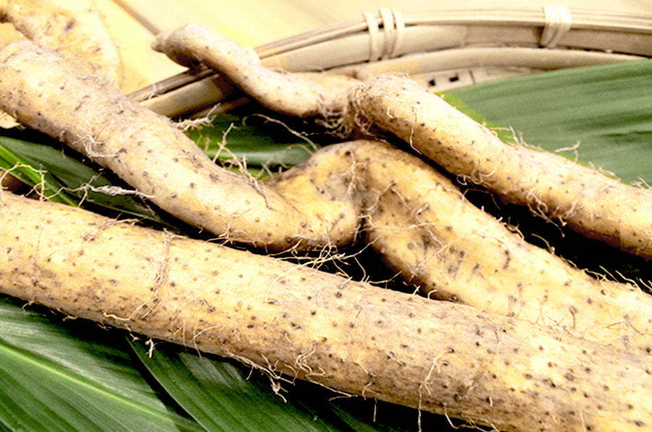 贈答用の自然生お中元やお歳暮に