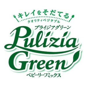 葉物野菜の生産・販売