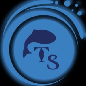 生鮮魚介卸売業