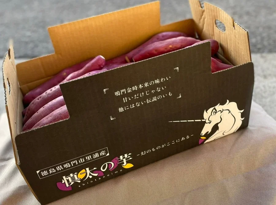 MyPR画像