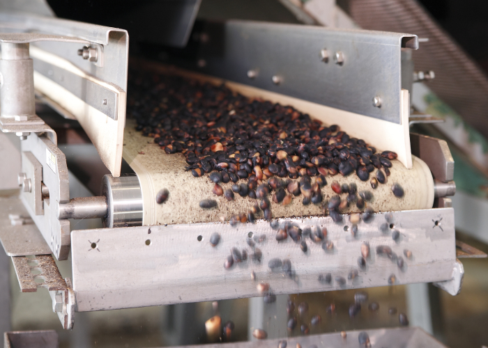 京都グレインシステム株式会社のご紹介