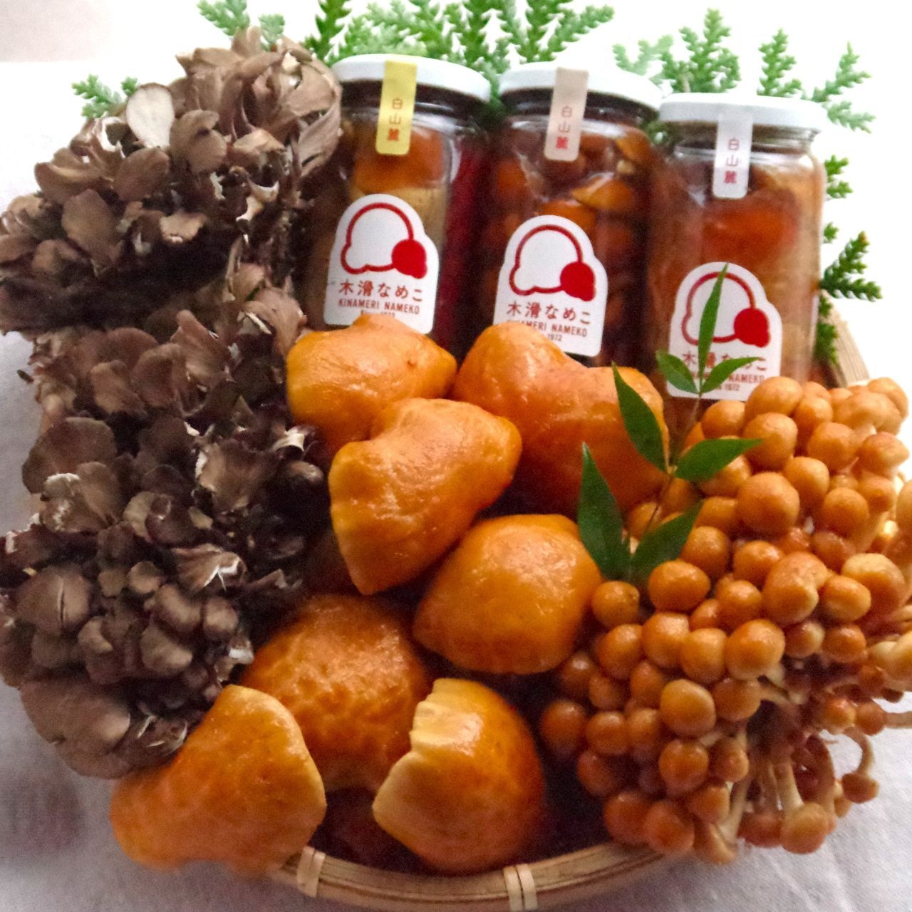 【ギフト】白山の幸・でけえなめこセット（特上）