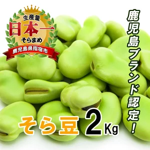 そら豆