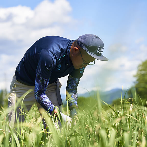 植え付け1ヶ月後 05・除けつ・とう摘み