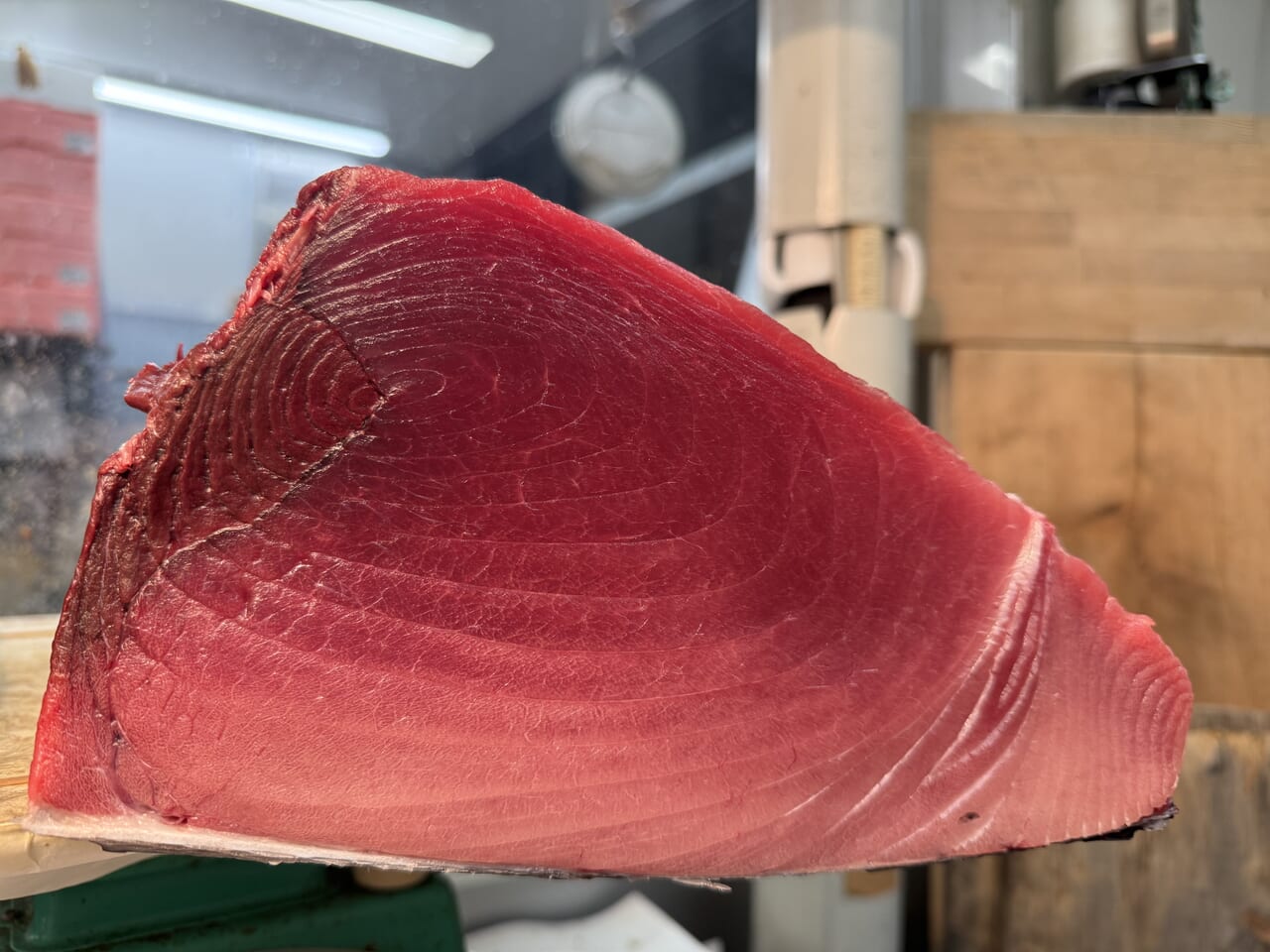 小笠原港メバチ