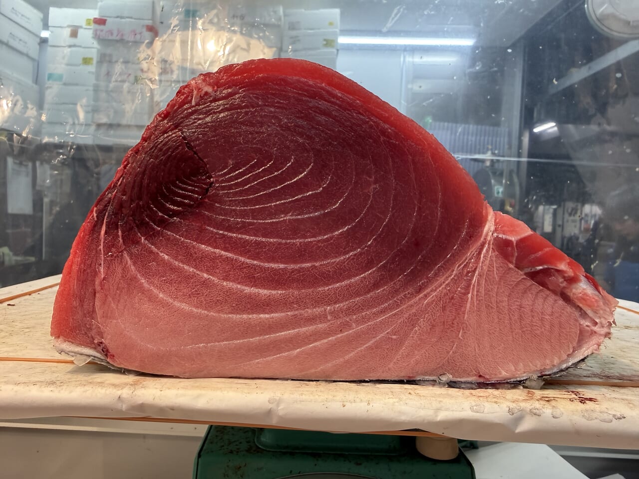 紀州勝浦産メバチ