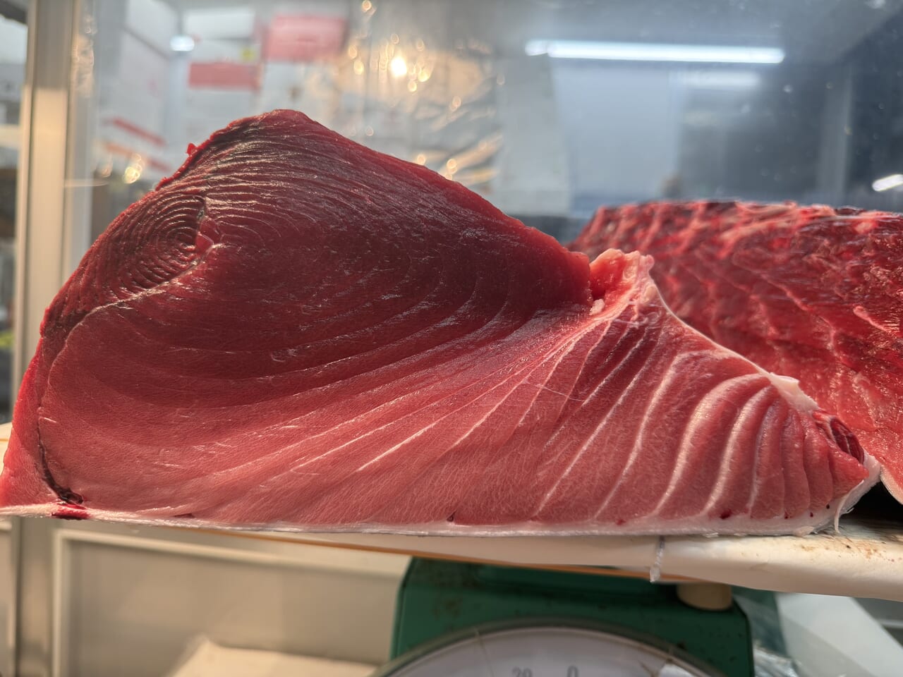 岩手県久慈産本鮪