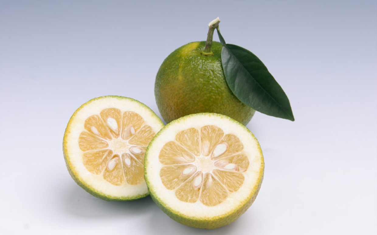 橙（だいだい）