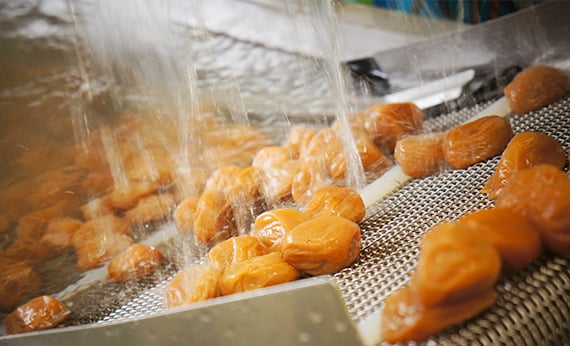 洗浄へのこだわり・漬込・乾燥へのこだわり