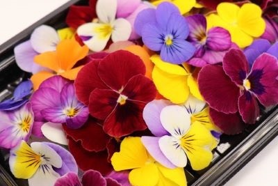 彩りを添える華やかなエディブルフラワー