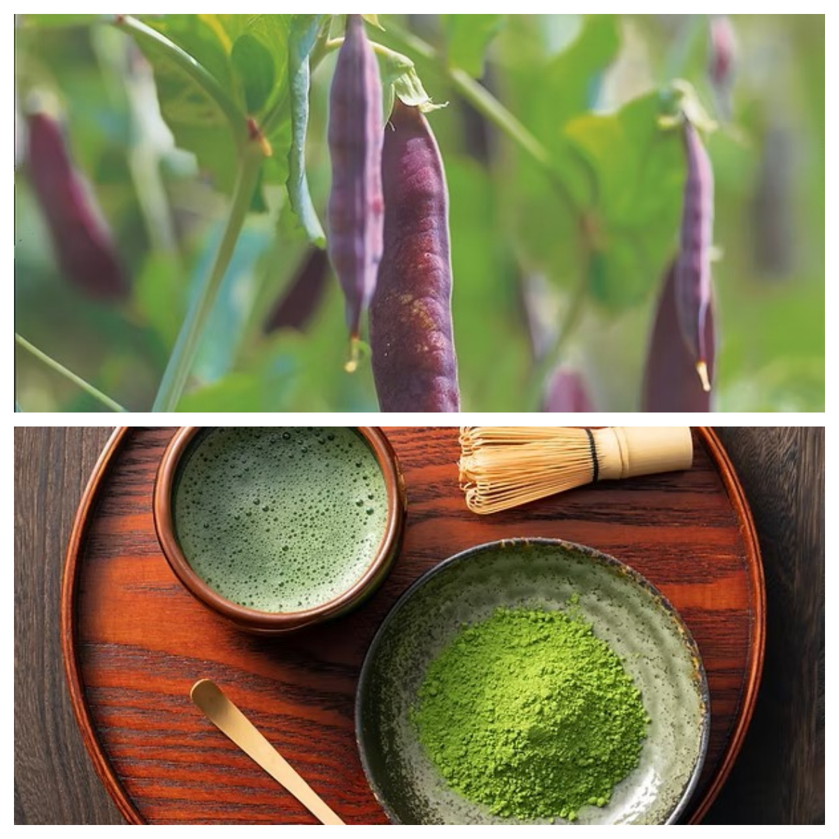 赤えんどう豆・抹茶