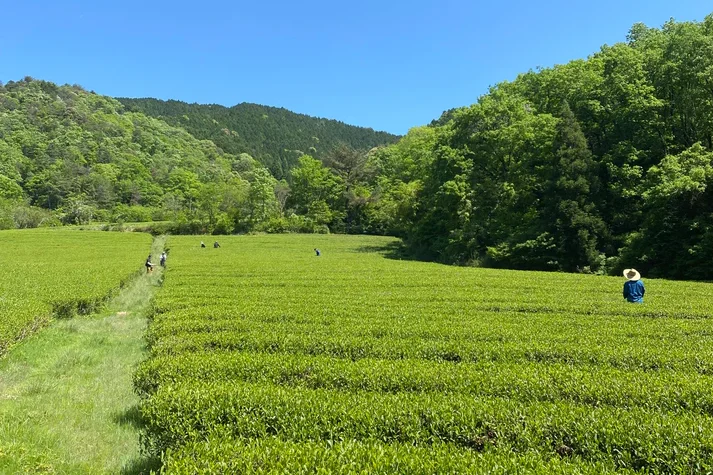 MyPR画像