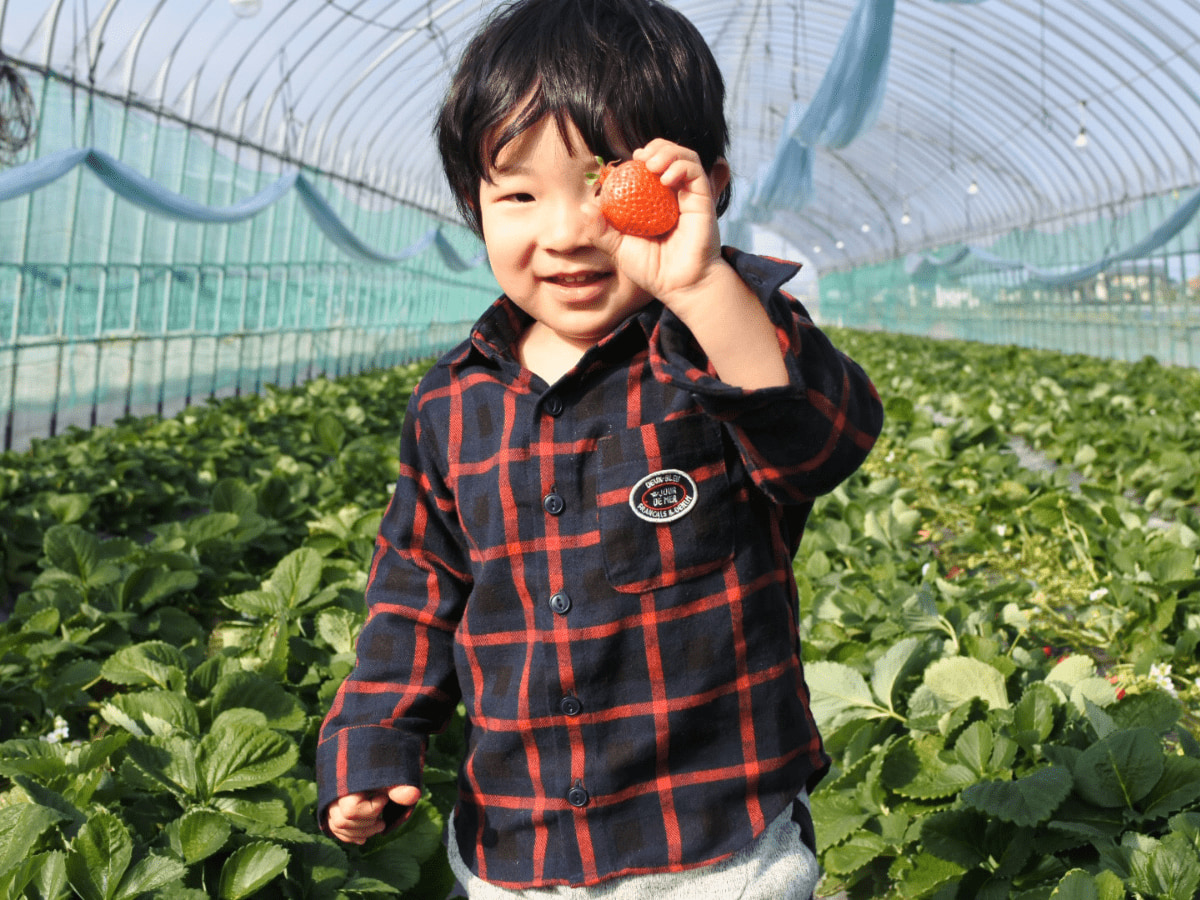 安心へのこだわり
