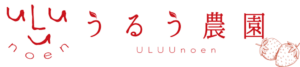 いちご（あまおう）の生産販売