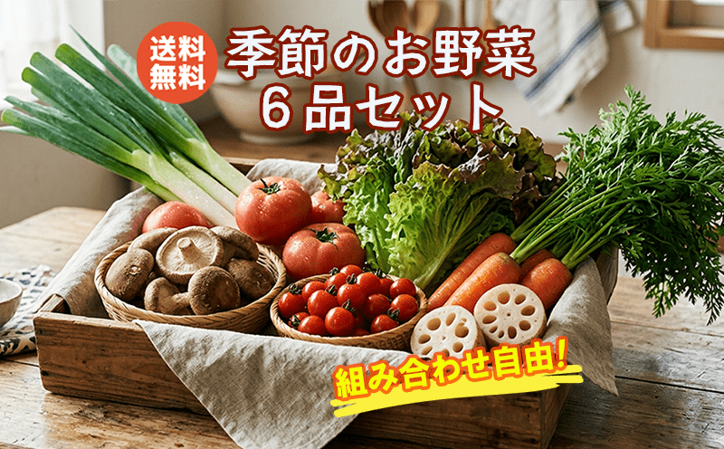 季節のお野菜6品詰め合わせセット