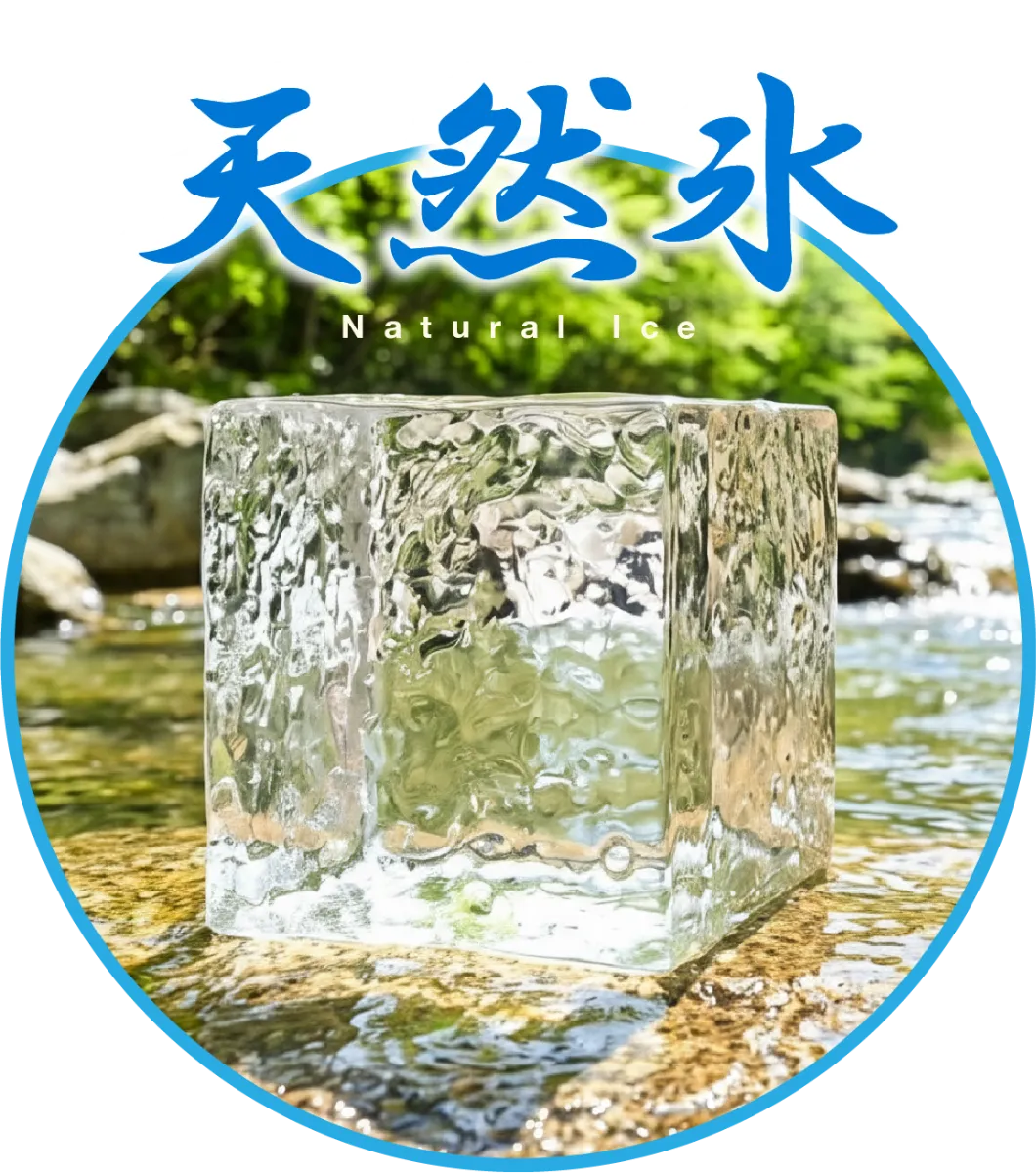 MyPR画像