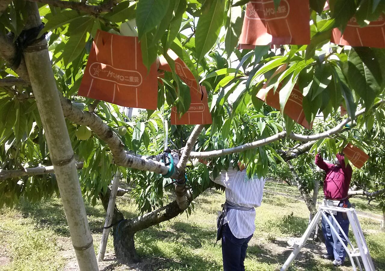 地域ブランドづくり