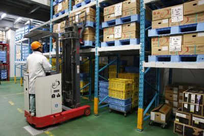 大型の冷蔵庫で温度は常に一定に保たれ、高品質のまま出荷されます