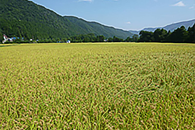 MyPR画像