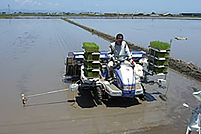 生産者とつくる、安全・安心のお米